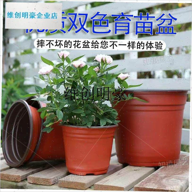 l加厚双色育苗盆k培育盆一次性塑料花F盆多肉种植盆育苗杯大号营