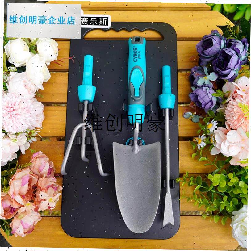 l园艺用品工具箱花剪花x艺剪刀盆栽x家用小铲子不锈钢养花套