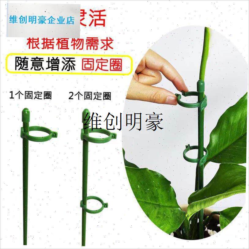 l植物支撑杆花架朱顶红防倒伏支架园艺吊兰N月季番茄架子绿植爬藤