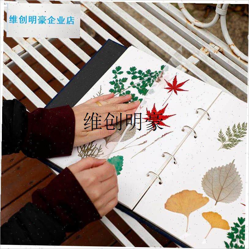 l植物树叶标本收纳收集册覆膜x干花昆虫夹活页手工四叶草枫叶相册
