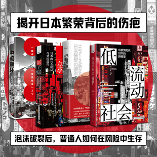 【全4册】日本经济社会系列 深度解读日本经济与社会问题4册 中流崩坏 新下层 低薪困境 低流动社会