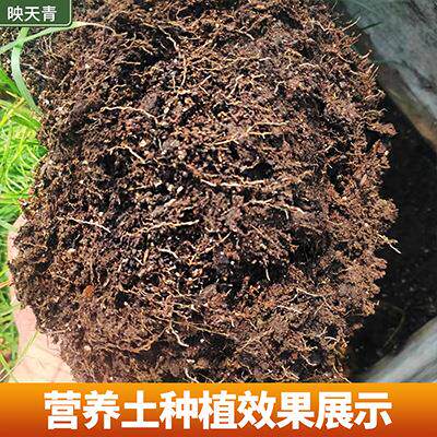 腐殖土园林绿化种植土合成草炭土泥炭土高有机质含量疏松透气