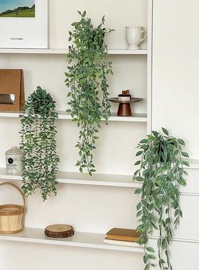 彷真绿色植物垂吊植物摆件创意客厅墙上桌面家居装饰品房间改造小