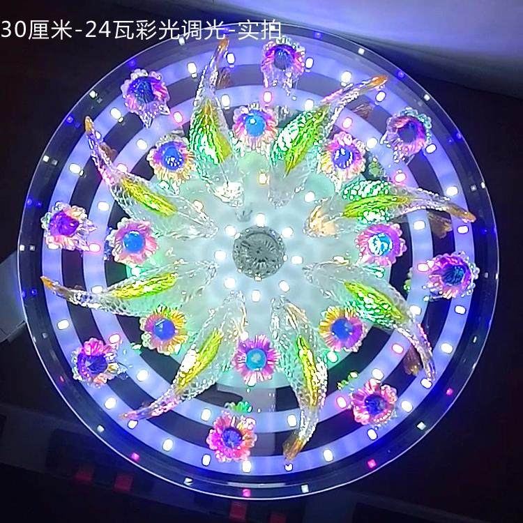 2024过道灯led走廊衣帽间灯玄关阳台灯 客厅七彩水晶吸顶灯创意鱼