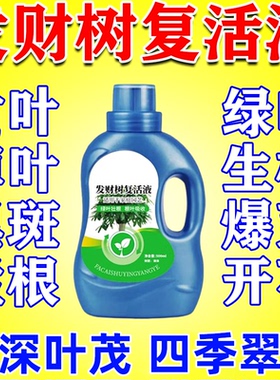 发财树专用营养液黄叶枯叶烂叶掉叶发话烂根植物通用营养液