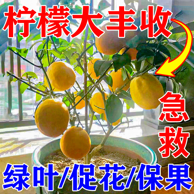 柠檬树专用肥料香水柠檬叶子发黄掉叶不开花不结果复合氮磷钾肥