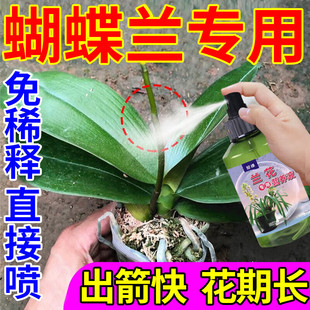 蝴蝶兰营养液肥料专用肥兰花多箭素用营养液催花盆栽催花促芽肥M