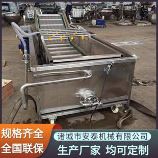 芒果多功能毛刷清洗机全自动马蹄荸荠清洗设备蒜米气泡清洗机