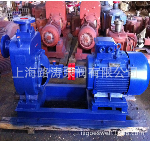 供应65ZW25-30污水自吸泵ZW自吸泵不锈钢排污泵380V自吸泵