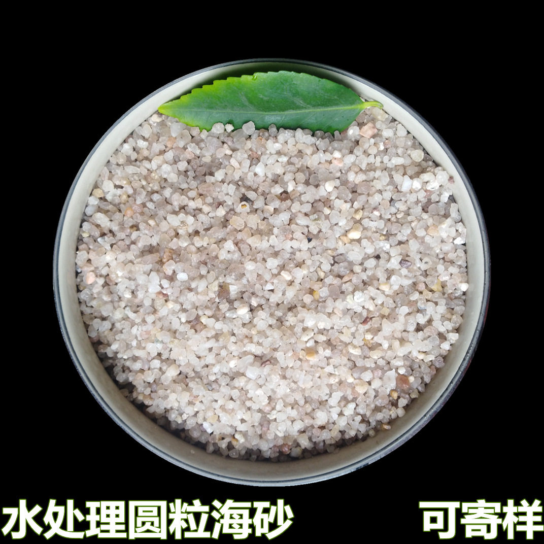 2-4mm山东海砂滤料厂家水处理净化器石英砂净水滤料圆粒海沙