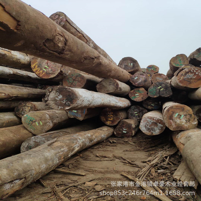 马尼尔豆原木马尼而豆原木马尼尔豆马尼而豆工程园林