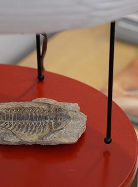 一枚橙 民宿样板间样品屋展示中心床头柜茶几圆摆件化石石膏装饰