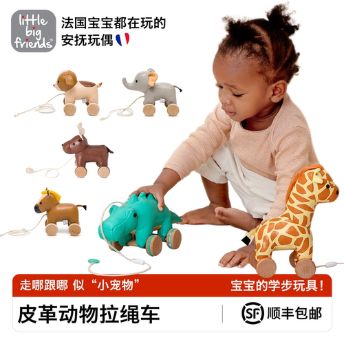 LittleBigFriends宝宝学步玩具