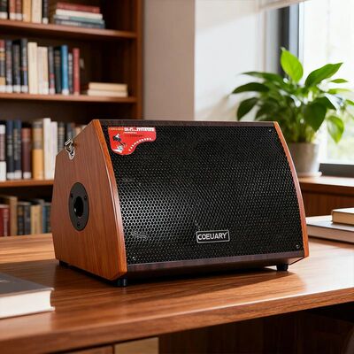 100W Guitar Amplifier Speaker 8 Inch Outdoor Speakers 6000mA