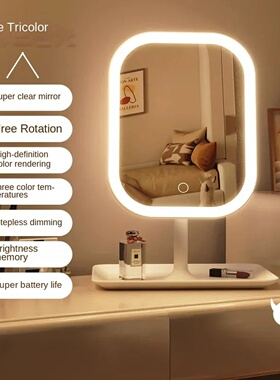 Niche Modern Desktop Vanity Mirror 3 Color Light LED Makeup