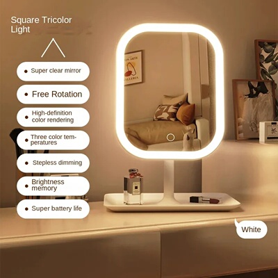 Niche Modern Desktop Vanity Mirror 3 Color Light LED Makeup