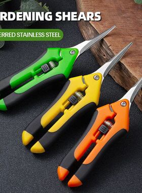 AIRAJ 7Inch Scissors for Pruning Plants Bonsai Gardeners Dom