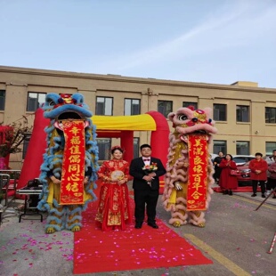 New Dragon Fly Premium Velvet Lion Dance Couplets 7 Meters