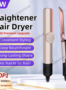 Professional 2-in-1 Negative Ion Hair Dryer & Straightener L