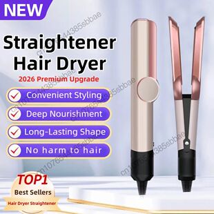 Professional 2-in-1 Negative Ion Hair Dryer & Straightener L