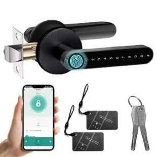 Biometric Fingerprint Keyless Entry Door Lock with Handle Do