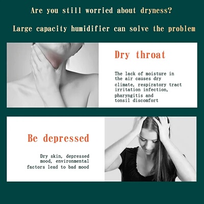 Large Capacity Dual Spray Humidifier Usb Home Bedroom 2L Si