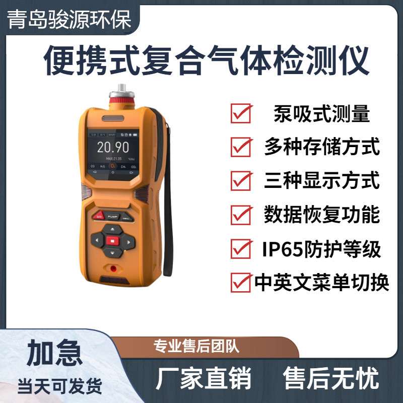 复合气体分析报警仪 可实时检测或定时可燃性气体仪