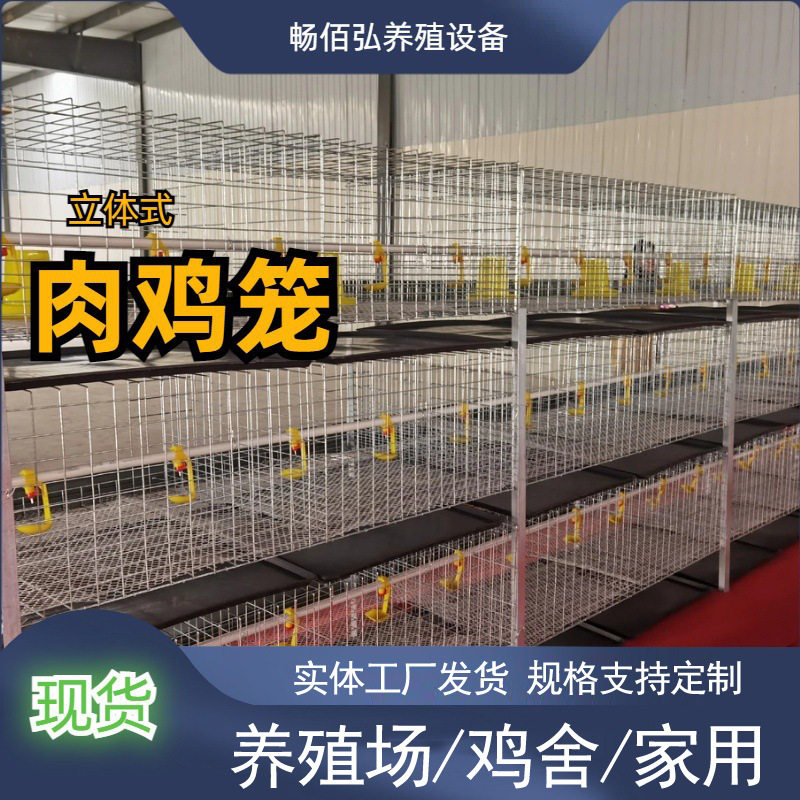三层H型肉鸡鸡笼立体丝网笼鸡舍养鸡场镀锌简易式可联排摆放