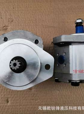 CBW-F304-ALP 齿轮油泵 齿轮泵 高压齿轮泵
