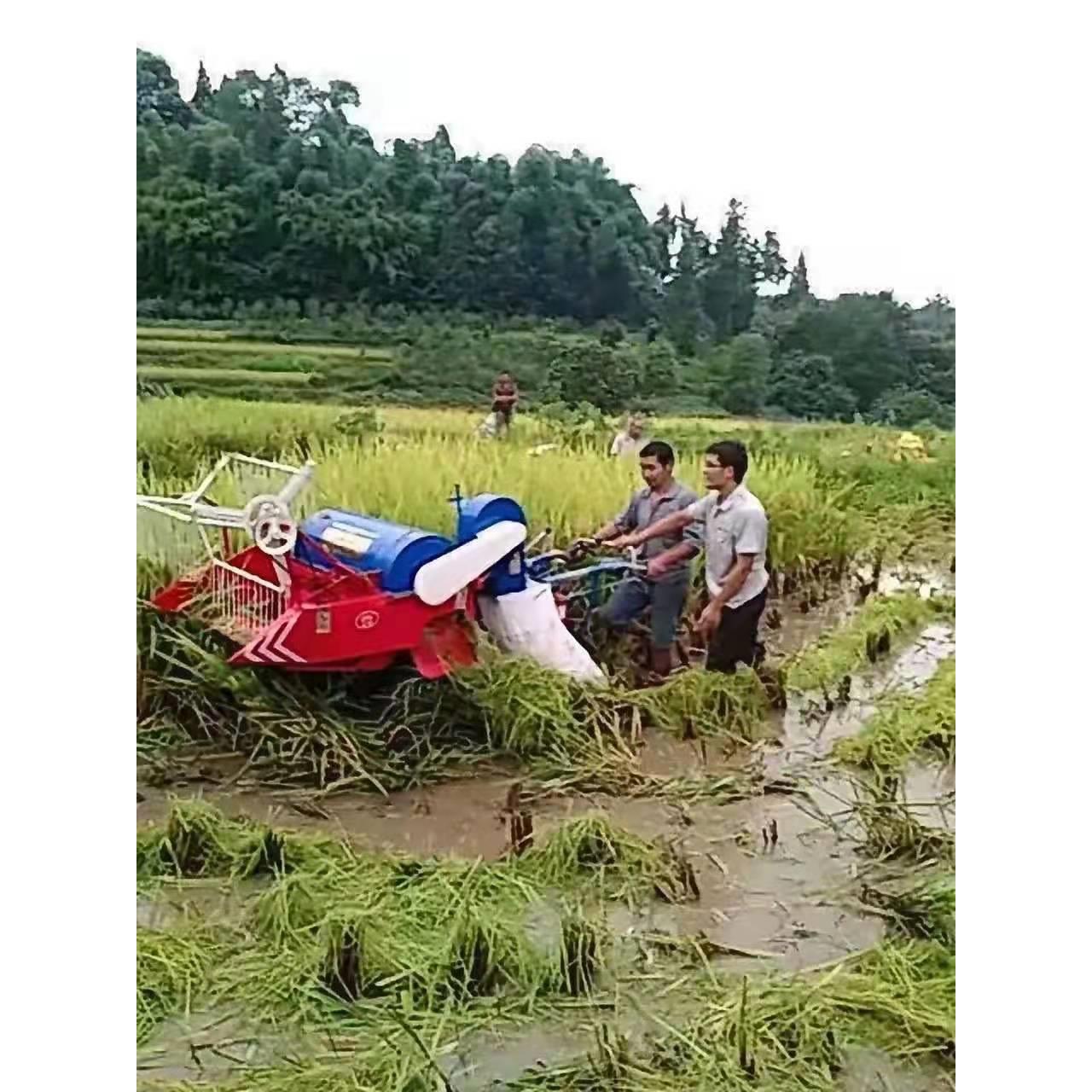 山区深水田、烂泥田、山坡田使用的小型水稻、小麦联合收割机