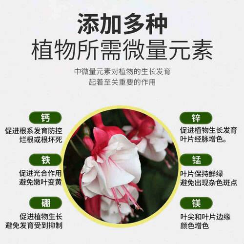 倒挂金钟专用肥吊钟花肥料营养液盆栽花卉植物养花开花灯笼花花肥