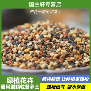 四合一兰花盆景老桩多肉植物盖面护茎土（花卉通用）
