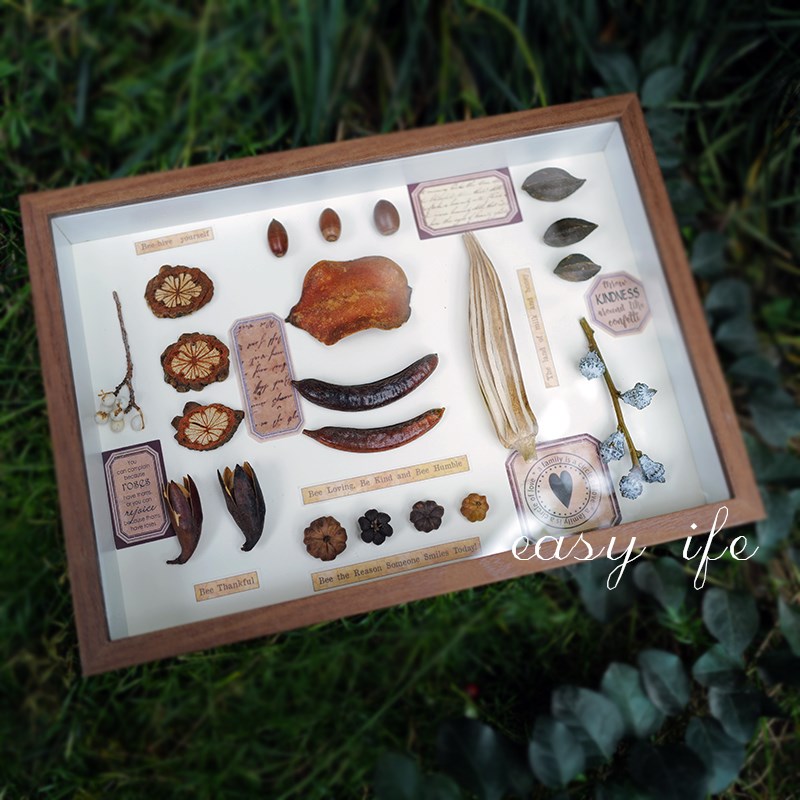 精品复古风植物标本装饰画 植物果实干花立体相框摆件立体挂 客厅图片