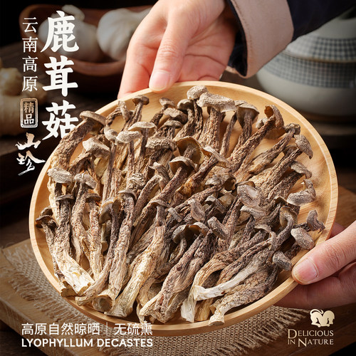 滇御荟云南高原鹿茸菇干货无硫熏