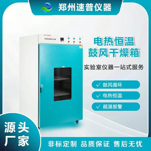【厂家直销 实验室专用】电热鼓风干燥箱 恒温烤箱 工业烘干设备