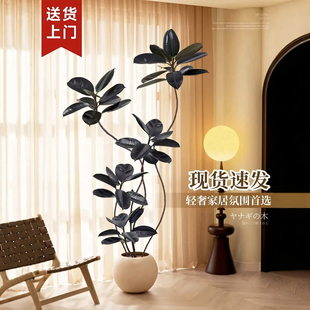 饰花客厅植物盆栽室内 仿真绿植橡皮树黑金刚诧寂风高端轻奢落地装