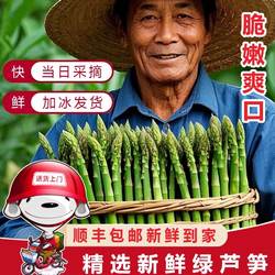 顺丰现摘山东菏泽曹县新鲜芦笋新鲜蔬菜嫩青笋绿鲜芦笋嫩龙须菜卢