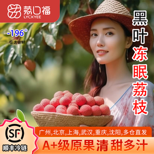 荔口福冻眠荔枝黑叶荔枝新鲜水果仙进桂奉妃子味笑顺丰冷链包邮