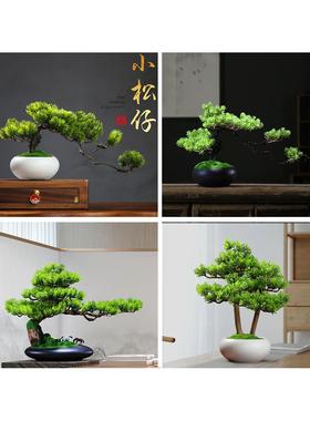 模拟迎宾松木盆景小饰品博古架电视柜咖啡桌禅宗办公室桌面装饰中