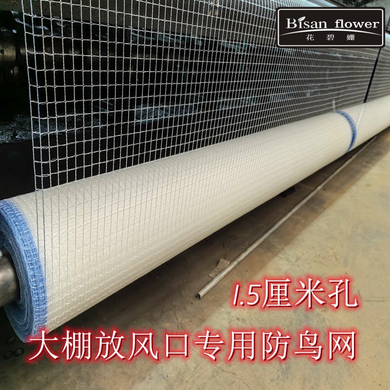 大棚通风口防鸟网草莓葡萄大棚放风口防鸟网1.5厘米孔蔬菜棚防鸟