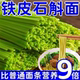新鲜铁皮石斛面条霍山石斛原浆铁棍山药挂早餐猴头菇丁香养沙棘胃