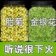 菊花金银花茶胎菊王优质山银花干花正宗夏季 新货组合装 胎菊王