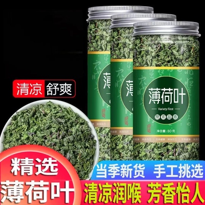 薄荷叶泡水新薄荷茶干薄荷叶茶食用80g-500g清凉可搭配胎菊柠檬片
