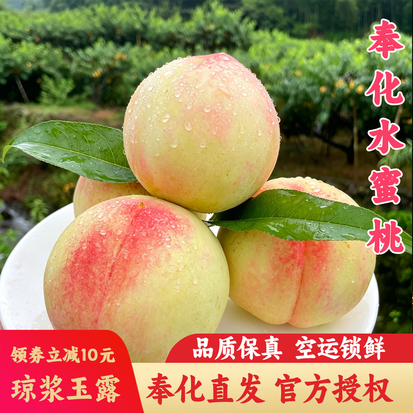 正宗宁波奉化水蜜桃现摘5斤空运