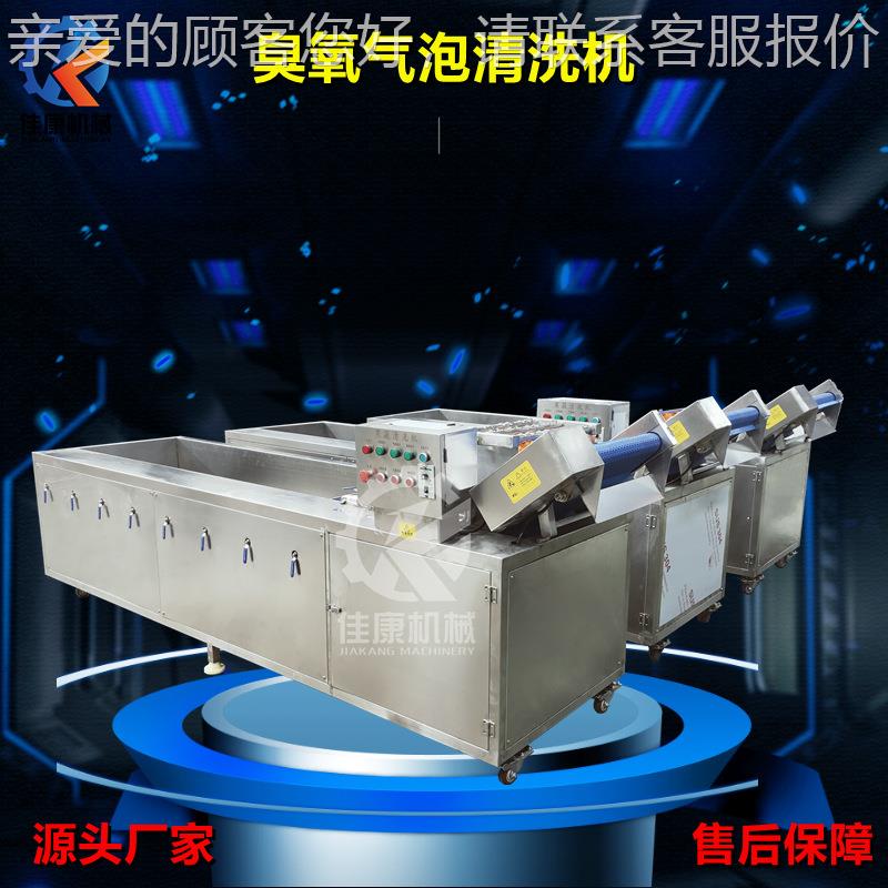 可定制果蔬喷淋式气泡清洗机 车厘子杨桃清洗设备 多功能清洗机