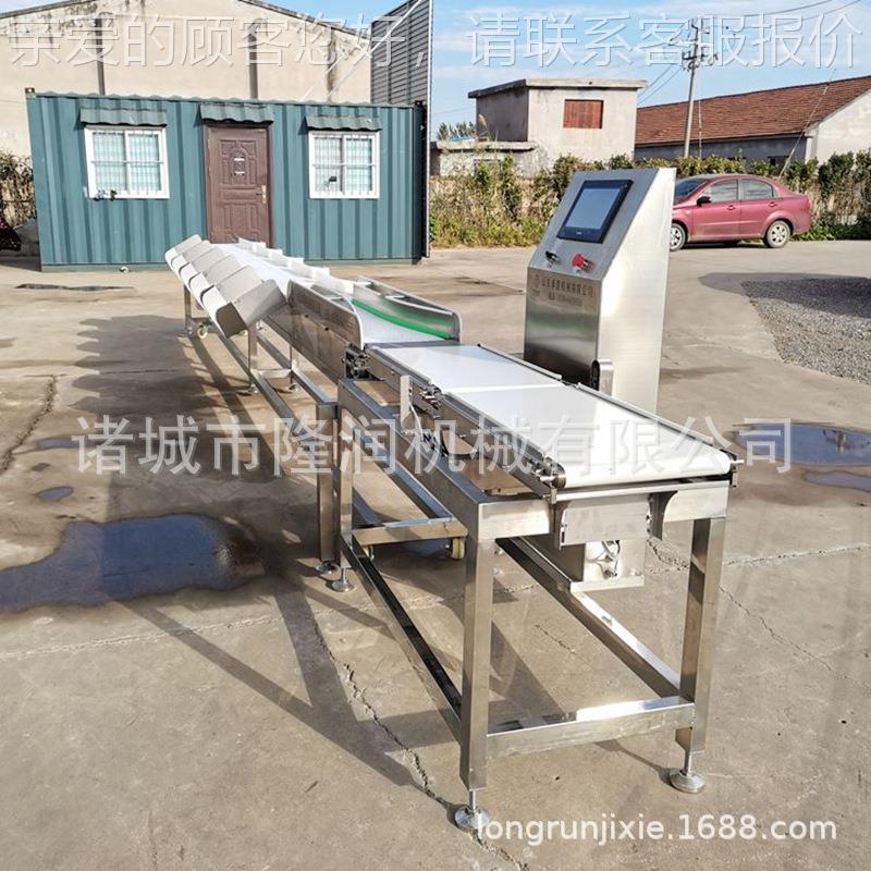 重量检测机器 皮带式带鱼称重分选机 活鱼牛蛙大小挑选