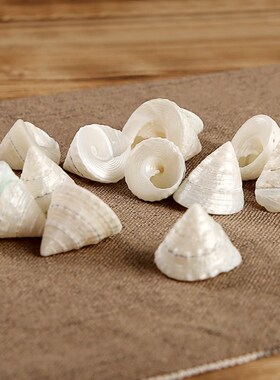 极速天然宝塔藏式白海螺小号供y佛用品尼泊尔八供养修妙音法器家