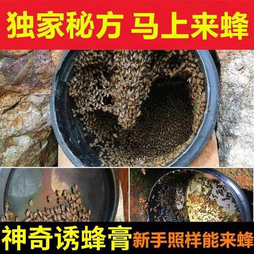 新品诱蜂膏【1秒蜂王来】引蜂招蜂收F蜂神器收捕野蜜蜂信息蜂王信