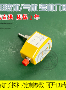 卡图CATO热导式流量开关 NK300B气体电子式/不锈钢水流开关传感器