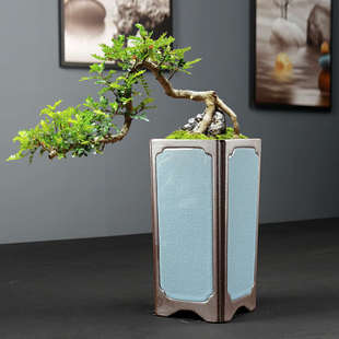 兰花专用紫砂花盆陶瓷家用室内桌面古典小榕树造景盆紫檀清香木盆